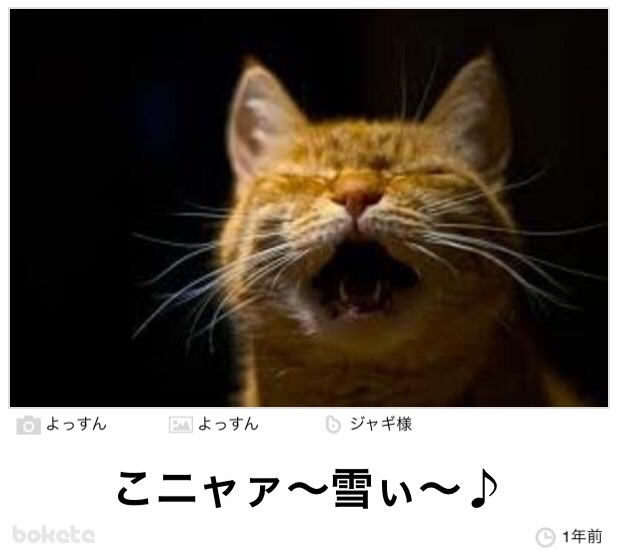 動物関連の「ボケて」貼ってください!