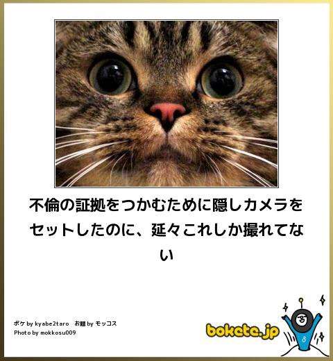 動物関連の「ボケて」貼ってください!