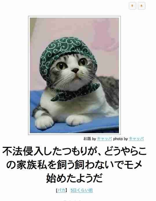 動物関連の「ボケて」貼ってください!