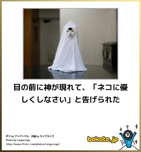 動物関連の「ボケて」貼ってください!