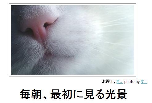 動物関連の「ボケて」貼ってください!