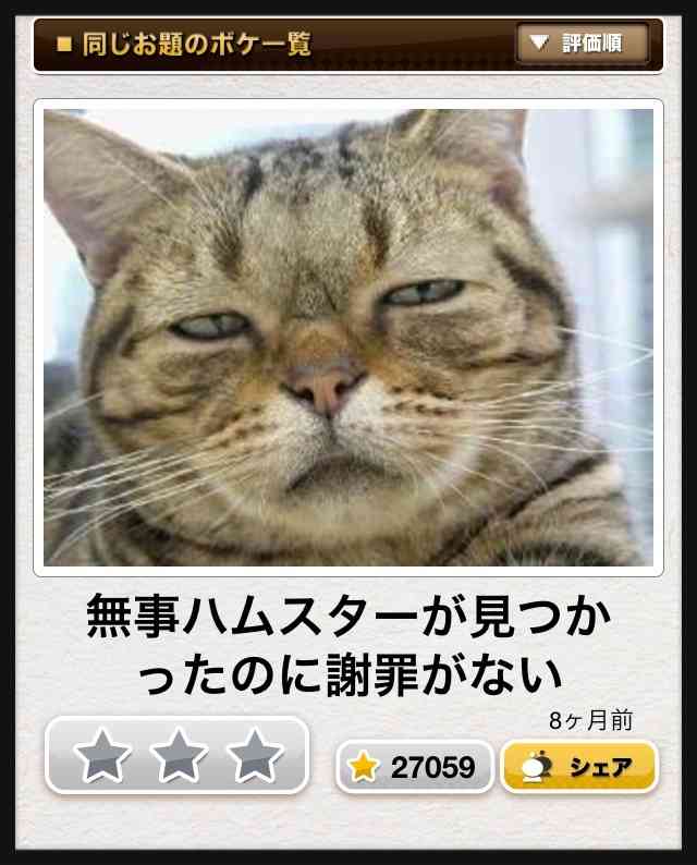 動物関連の「ボケて」貼ってください!