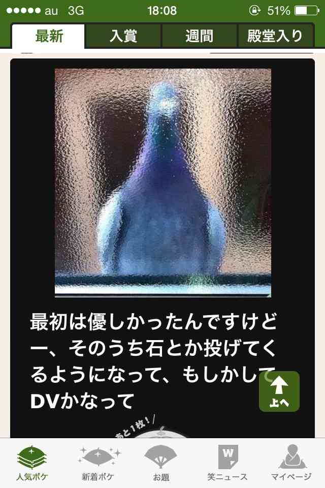 動物関連の「ボケて」貼ってください!