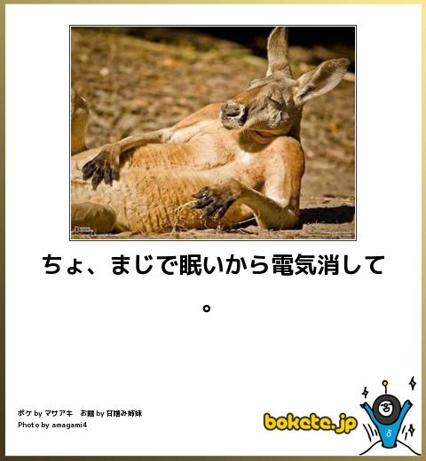 動物関連の「ボケて」貼ってください!