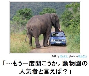 動物関連の「ボケて」貼ってください!