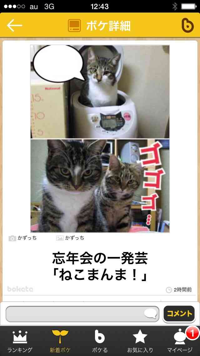 動物関連の「ボケて」貼ってください!
