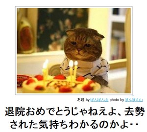 動物関連の「ボケて」貼ってください!
