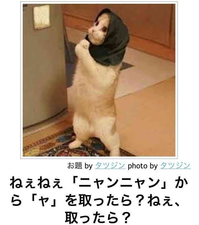 動物関連の「ボケて」貼ってください!