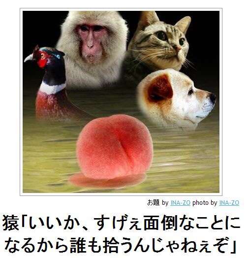 動物関連の「ボケて」貼ってください!