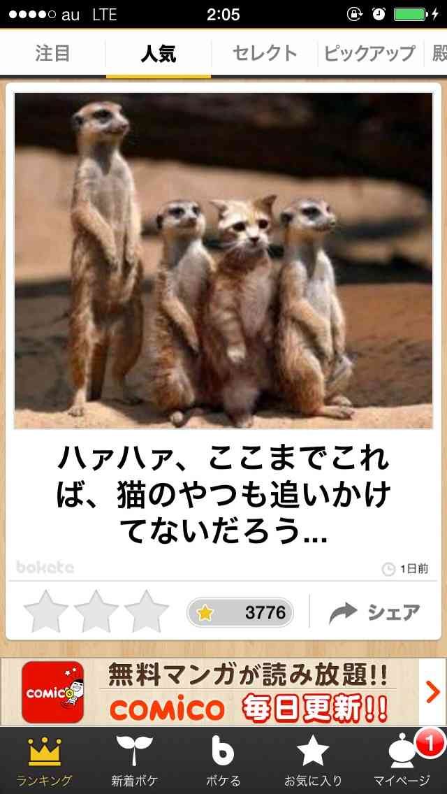 動物関連の「ボケて」貼ってください!