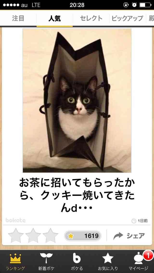 動物関連の「ボケて」貼ってください!