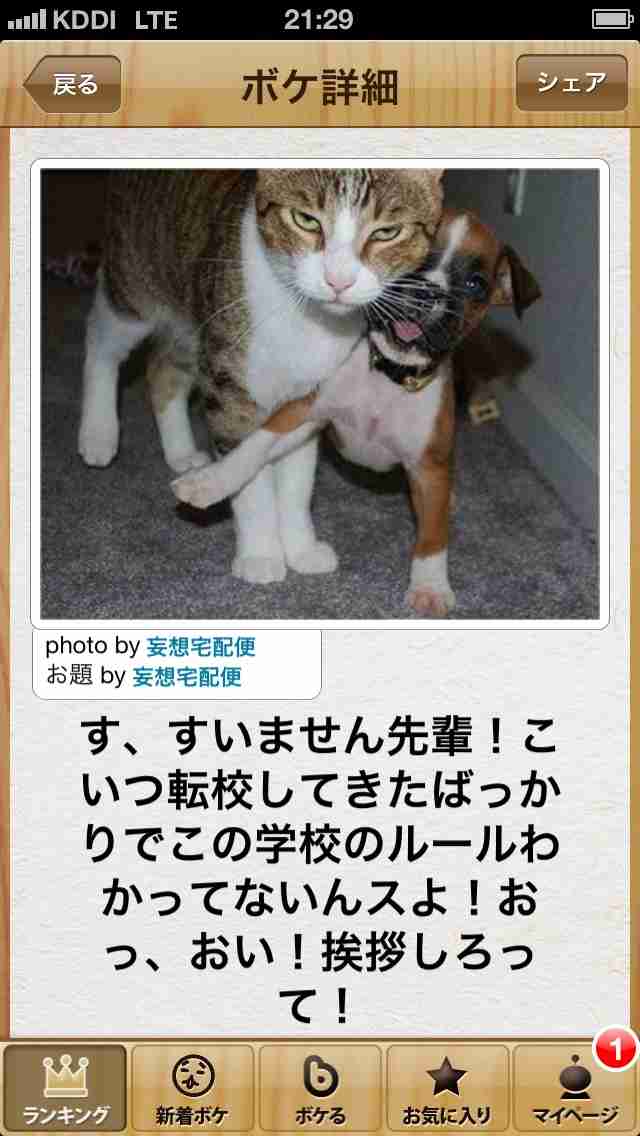 動物関連の「ボケて」貼ってください!