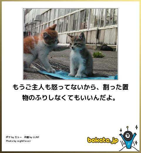 動物関連の「ボケて」貼ってください!