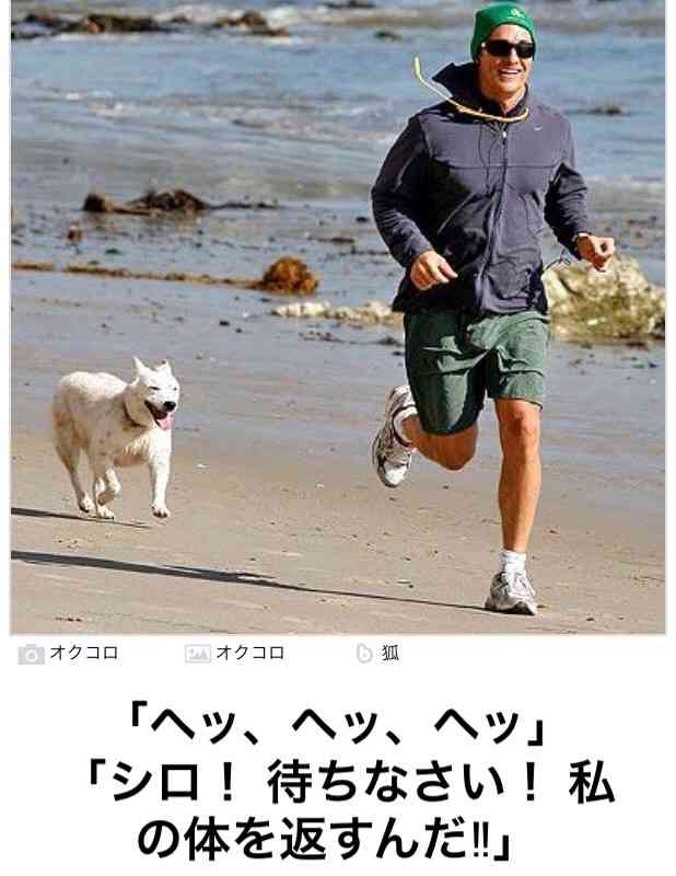 動物関連の「ボケて」貼ってください!