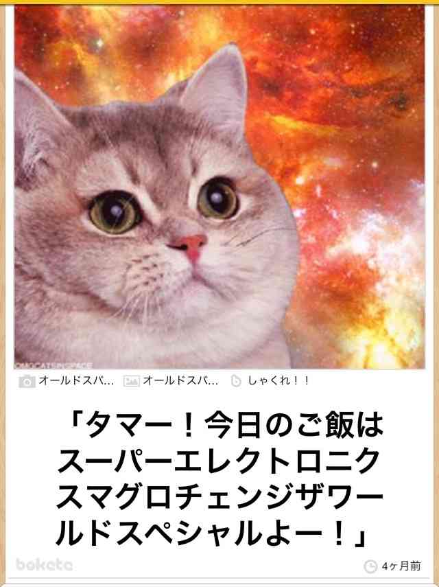 動物関連の「ボケて」貼ってください!
