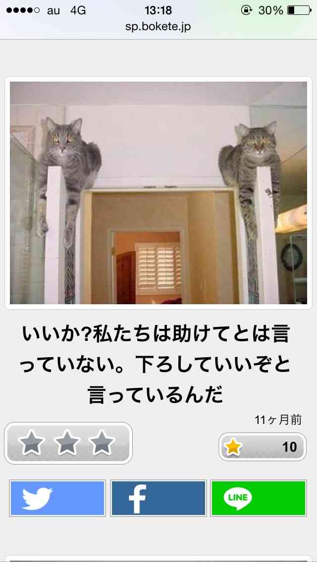 動物関連の「ボケて」貼ってください!