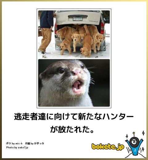 動物関連の「ボケて」貼ってください!