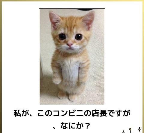 動物関連の「ボケて」貼ってください!