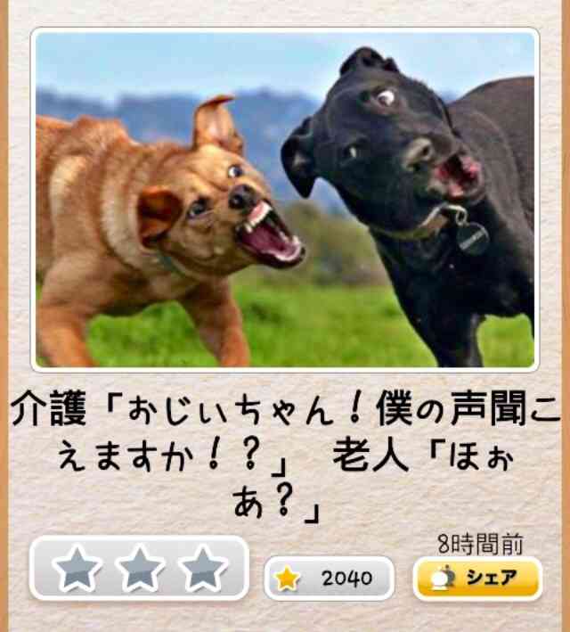 動物関連の「ボケて」貼ってください!