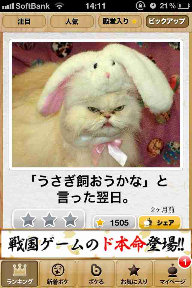 動物関連の「ボケて」貼ってください!