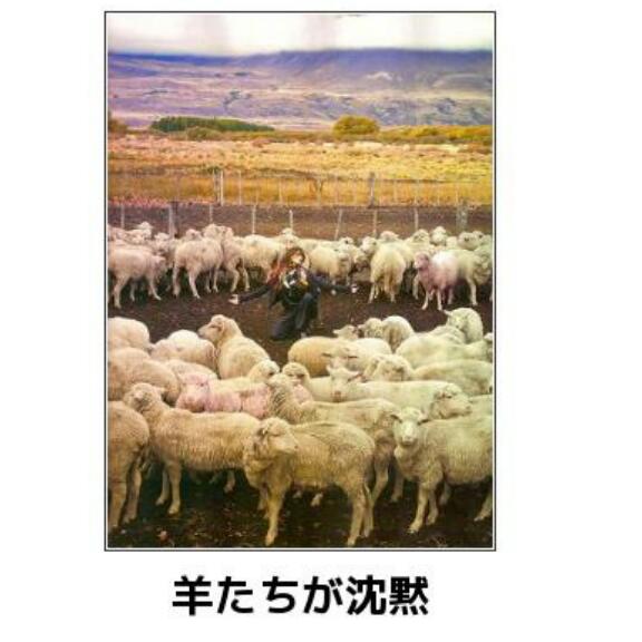 動物関連の「ボケて」貼ってください!