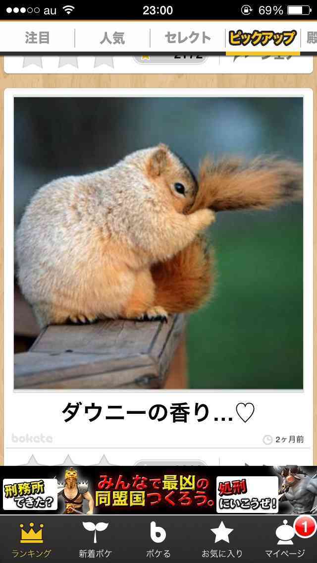 動物関連の「ボケて」貼ってください!