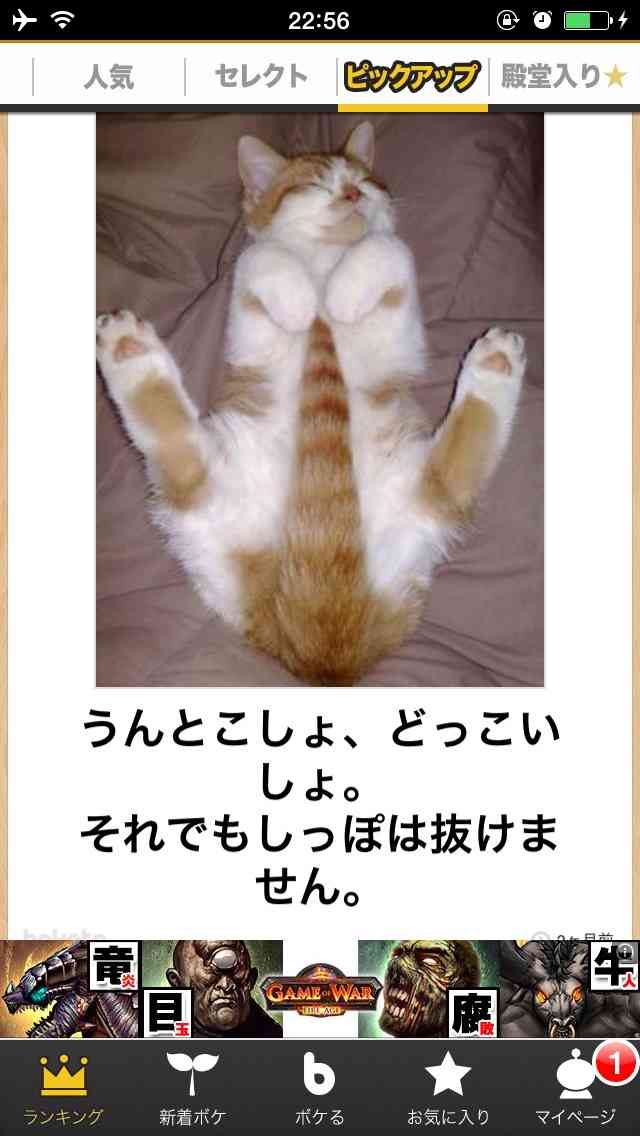 動物関連の「ボケて」貼ってください!