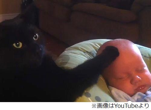 自分の近況を物語る画像を貼って、一言どうぞ。