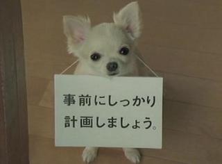 印象に残ってるCMは?