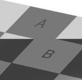 【閲覧微注意】目の錯覚画像を貼るトピ