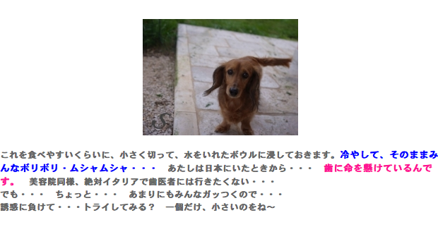 やしきたかじんさんの