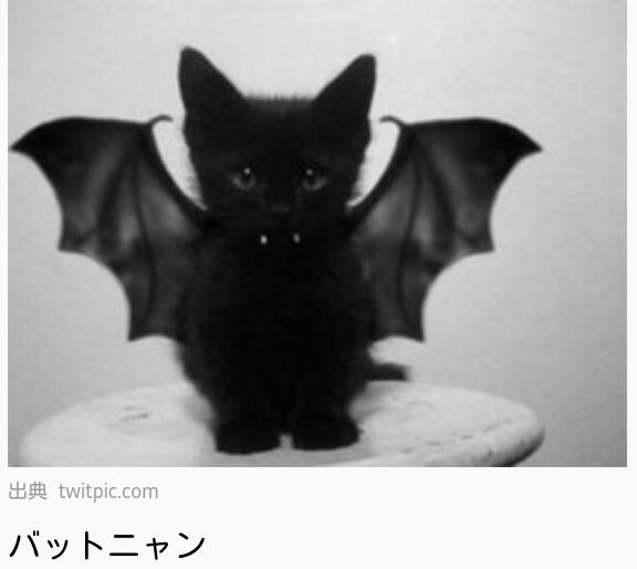 『ガルちゃん猫図鑑』
