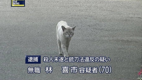 『ガルちゃん猫図鑑』