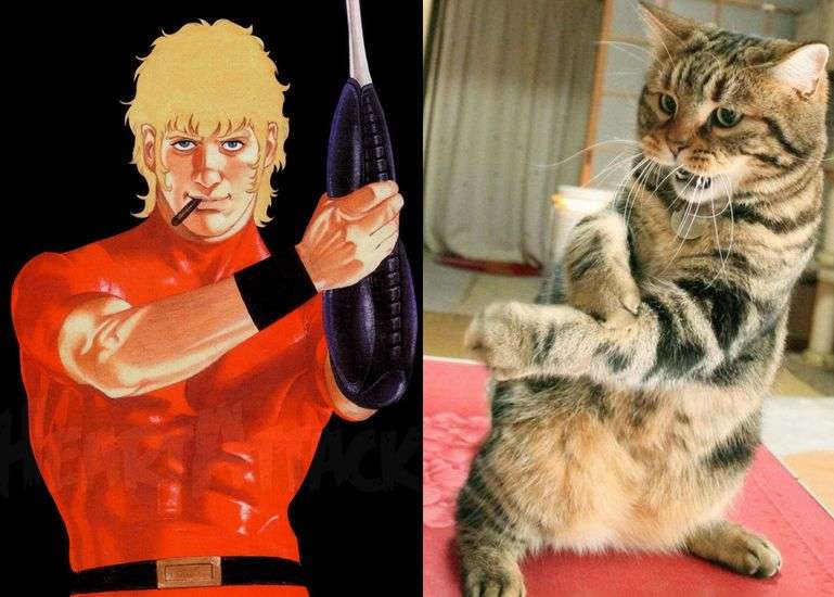 『ガルちゃん猫図鑑』