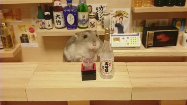 まったり居酒屋開店～６店舗目！
