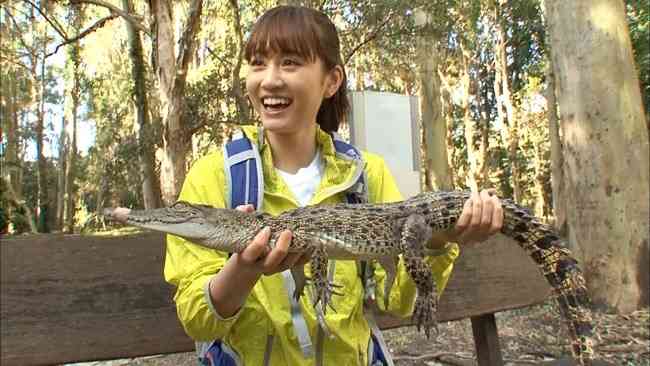 前田敦子、ペットは「猫が8匹、犬が6匹…」「知らない間にどんどん増えてる」