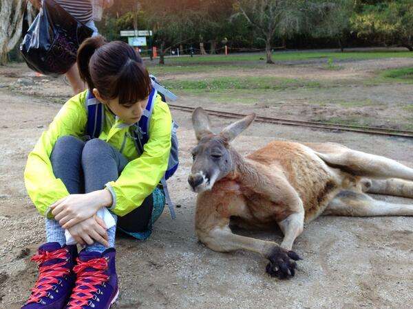 前田敦子、ペットは「猫が8匹、犬が6匹…」「知らない間にどんどん増えてる」