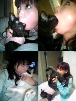 前田敦子、ペットは「猫が8匹、犬が6匹…」「知らない間にどんどん増えてる」