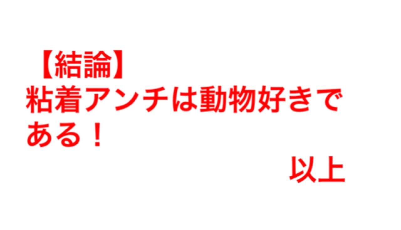 前田敦子、ペットは「猫が8匹、犬が6匹…」「知らない間にどんどん増えてる」