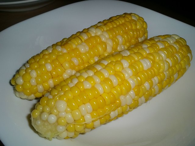 宝石のようにカラフルなトウモロコシがすごい！