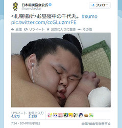 応援してる力士を言ってくスレ