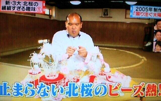 応援してる力士を言ってくスレ