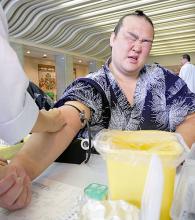 応援してる力士を言ってくスレ