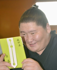 応援してる力士を言ってくスレ
