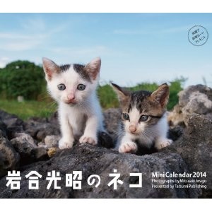 本屋で手に取りたくなるタイトルや特集は？