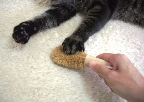 ペットの毛対策