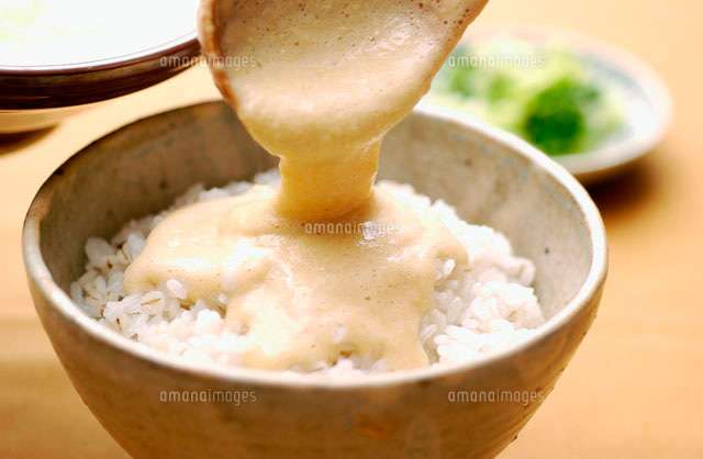 ご飯の友