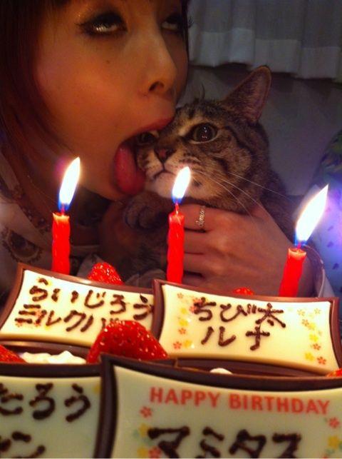ペット業界の裏にある恐ろしい現実…「売れない犬は生きたまま冷蔵庫に」「死んだらゴミとして捨てる」