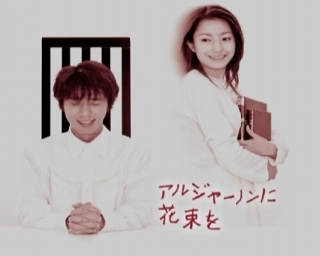 今までで一番泣いたテレビドラマはなんですか？