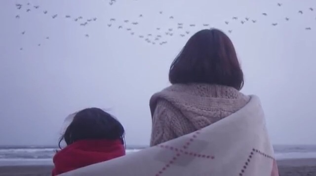 今までで一番泣いたテレビドラマはなんですか？